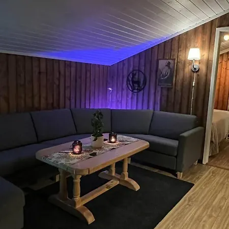 Koselig Med Uteplas Ved Hallingdalselva