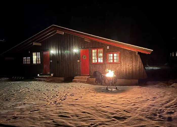Koselig Med Uteplas Ved Hallingdalselva * Ål